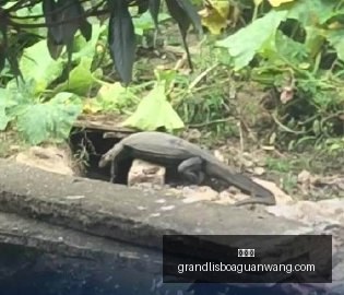 罗传奇见证,与最强合作,对决的对手,新葡京,新葡京app,新葡京娱乐,新普京赌场